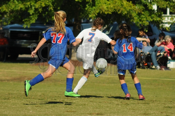 9-23 SA vs HA 099.JPG - MCKEEGAN D300S #1